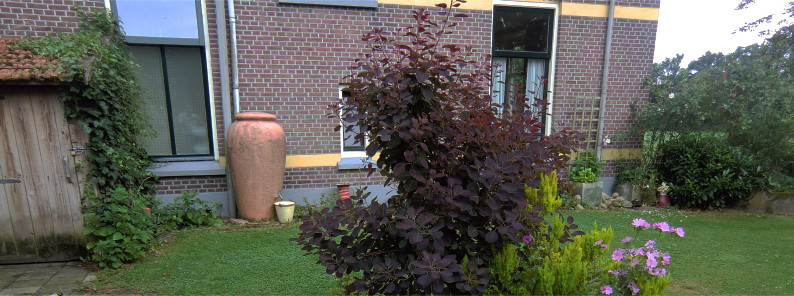 Appartement Lutje Kössink